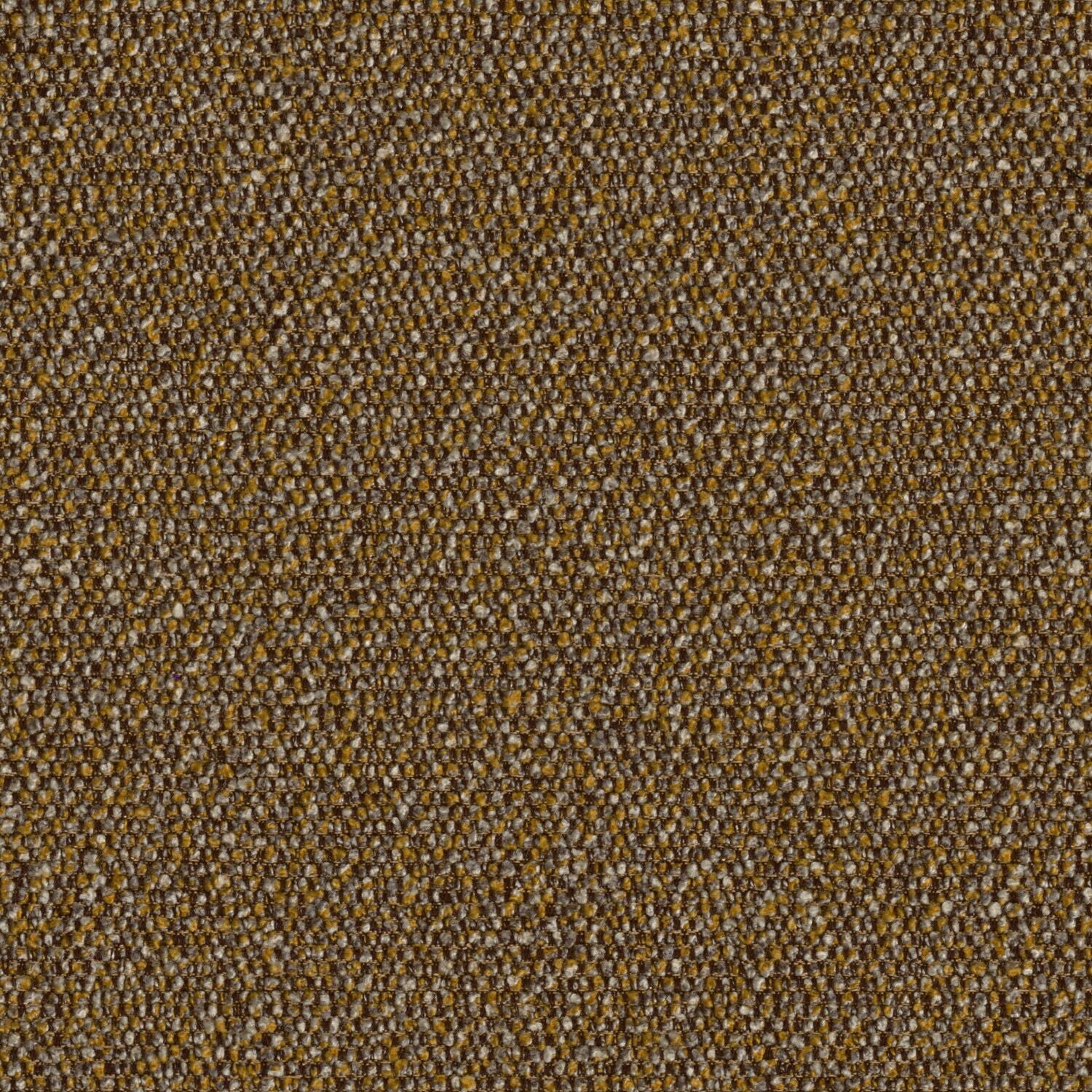 Roam - Prairie - 4155 - 01