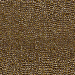 Roam - Prairie - 4155 - 01 - Half Yard