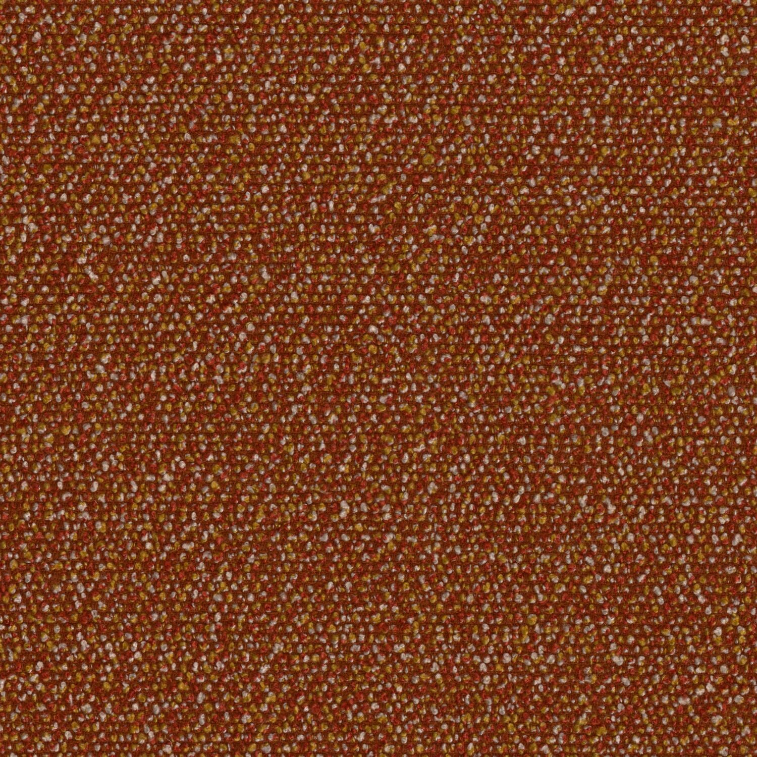 Roam - Safari - 4155 - 02