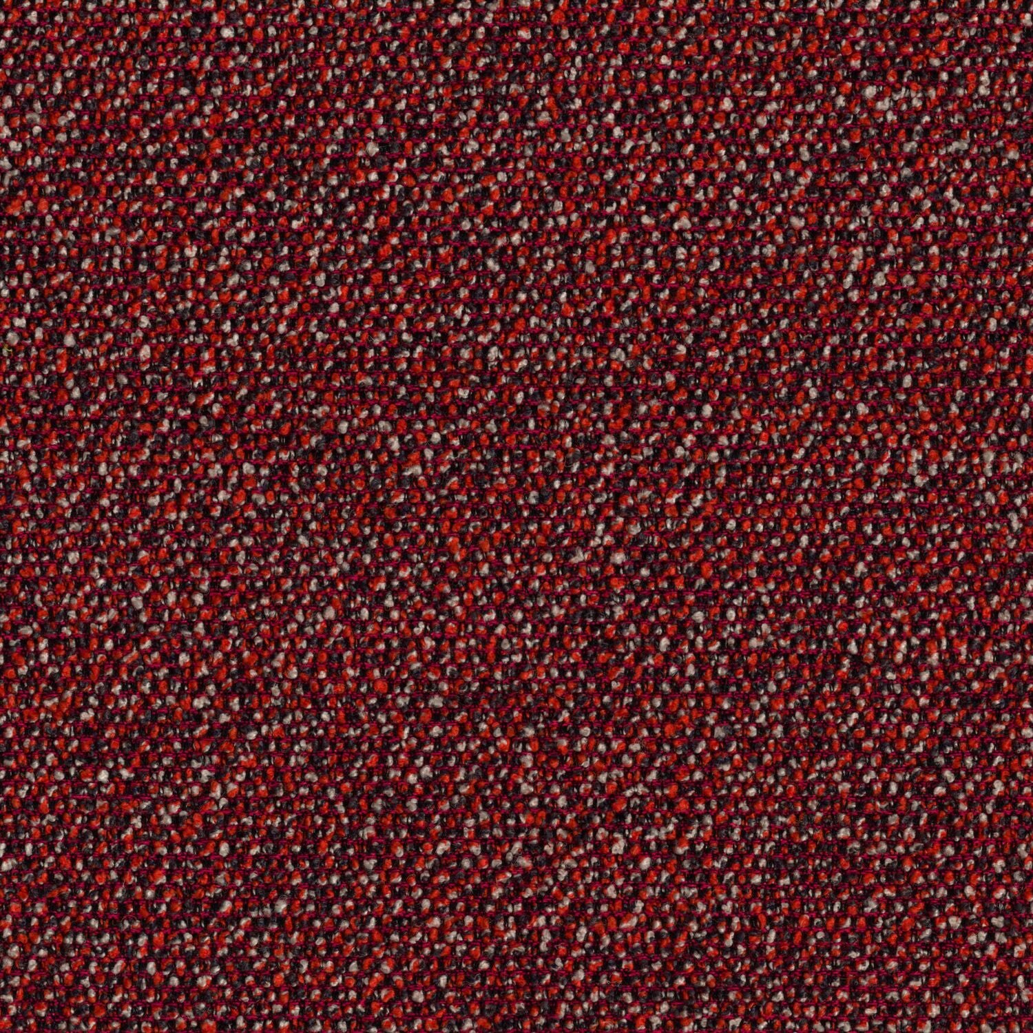 Roam - Wilderness - 4155 - 04