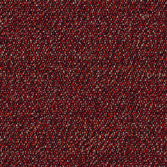 Roam - Wilderness - 4155 - 04