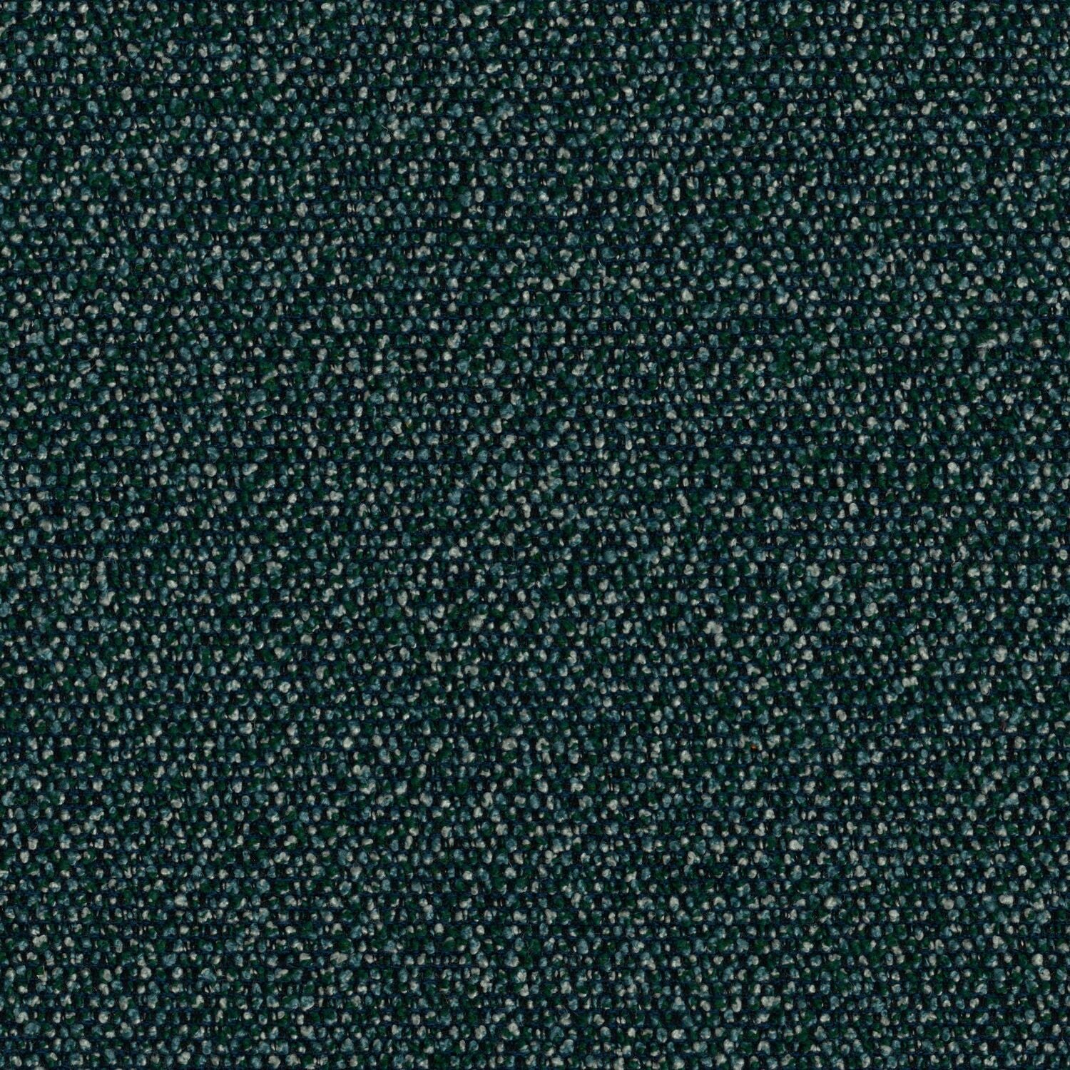 Roam - Rainforest - 4155 - 08