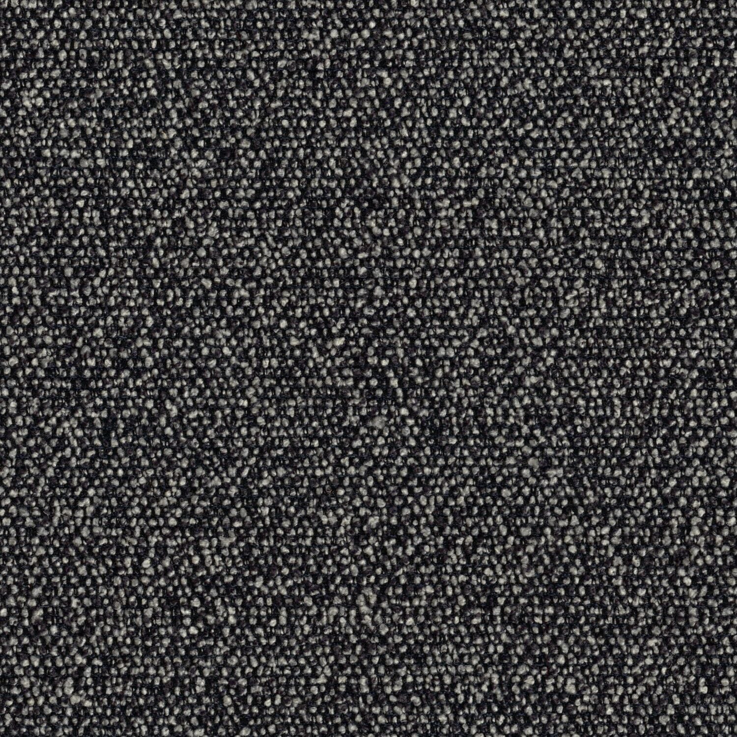 Roam - Cityscape - 4155 - 10