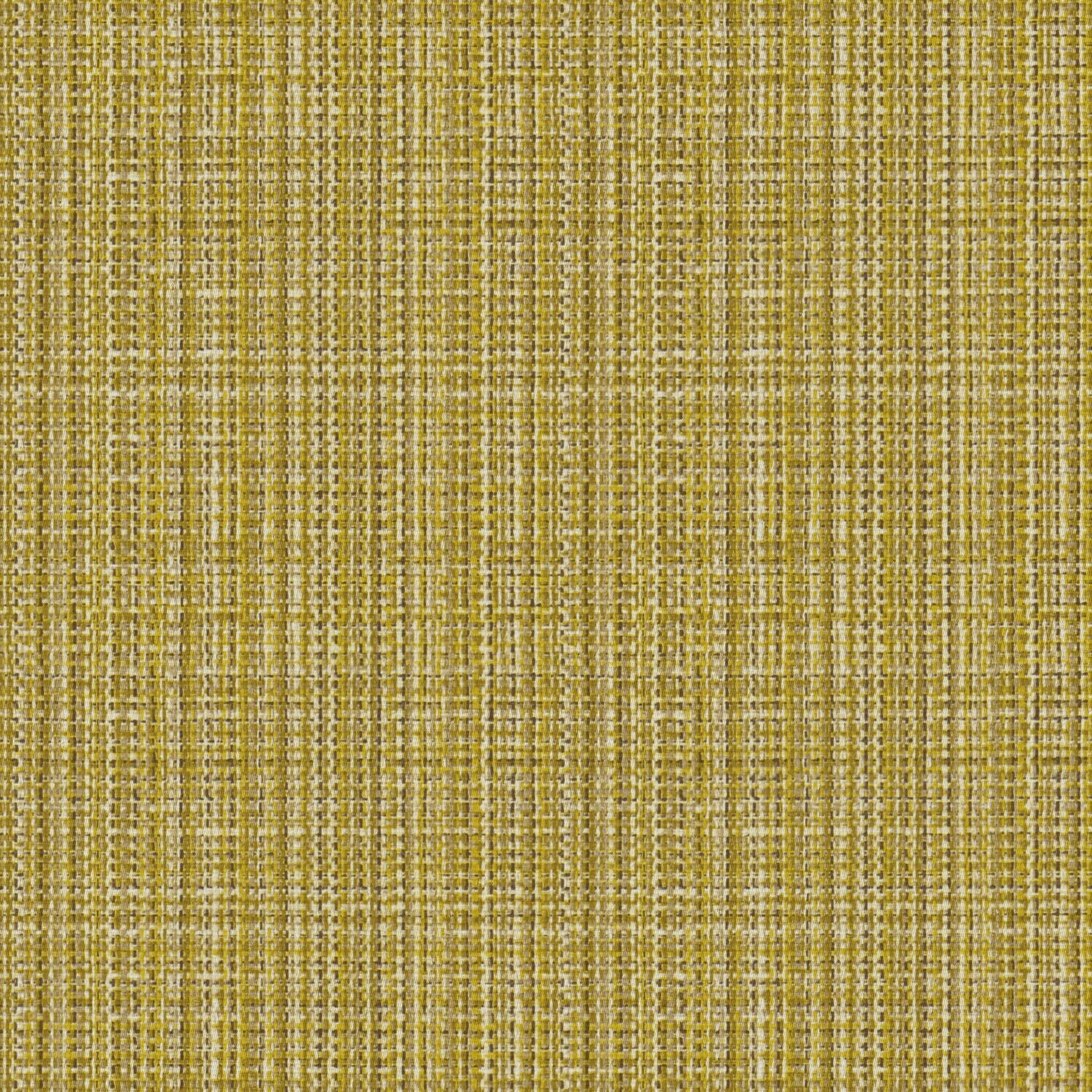 Replay - Zest - 4158 - 02