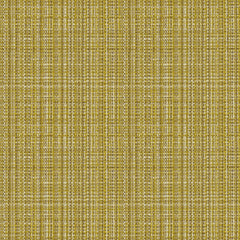 Replay - Zest - 4158 - 02
