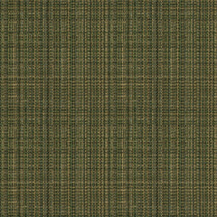 Replay - Pine - 4158 - 05