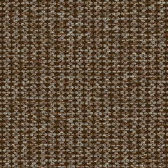 Sequence - Barley - 4156 - 07