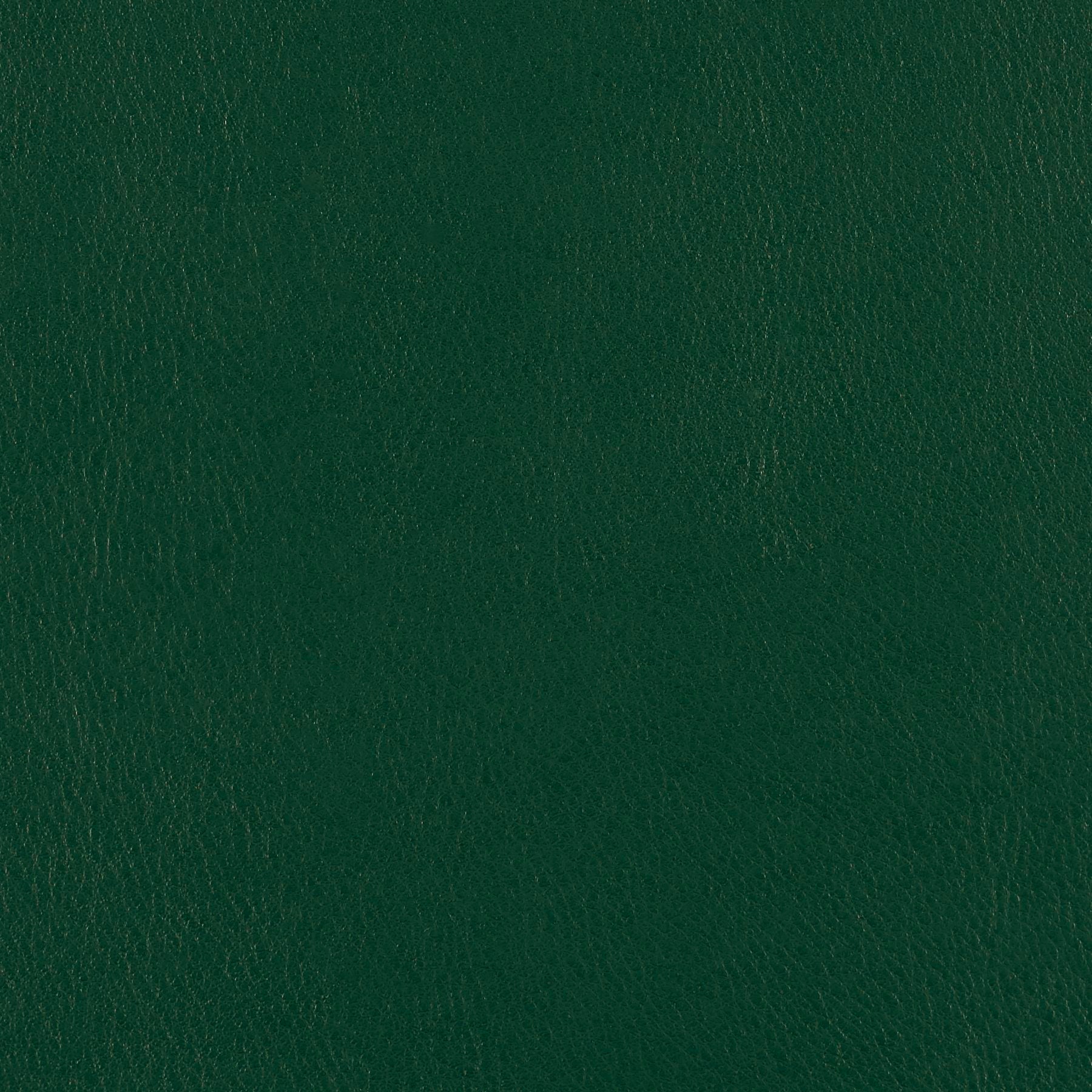 Fine Grain - Sea Weed - 4046 - 13 - Half Yard
