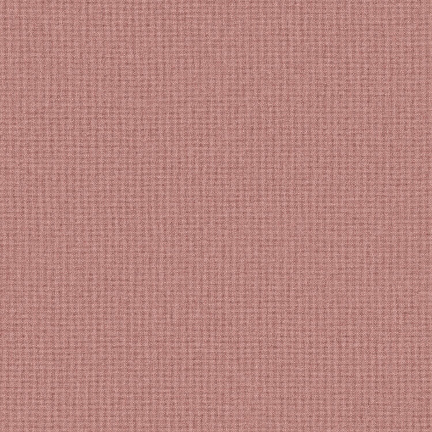 Tint - Petal - 2015 - 10