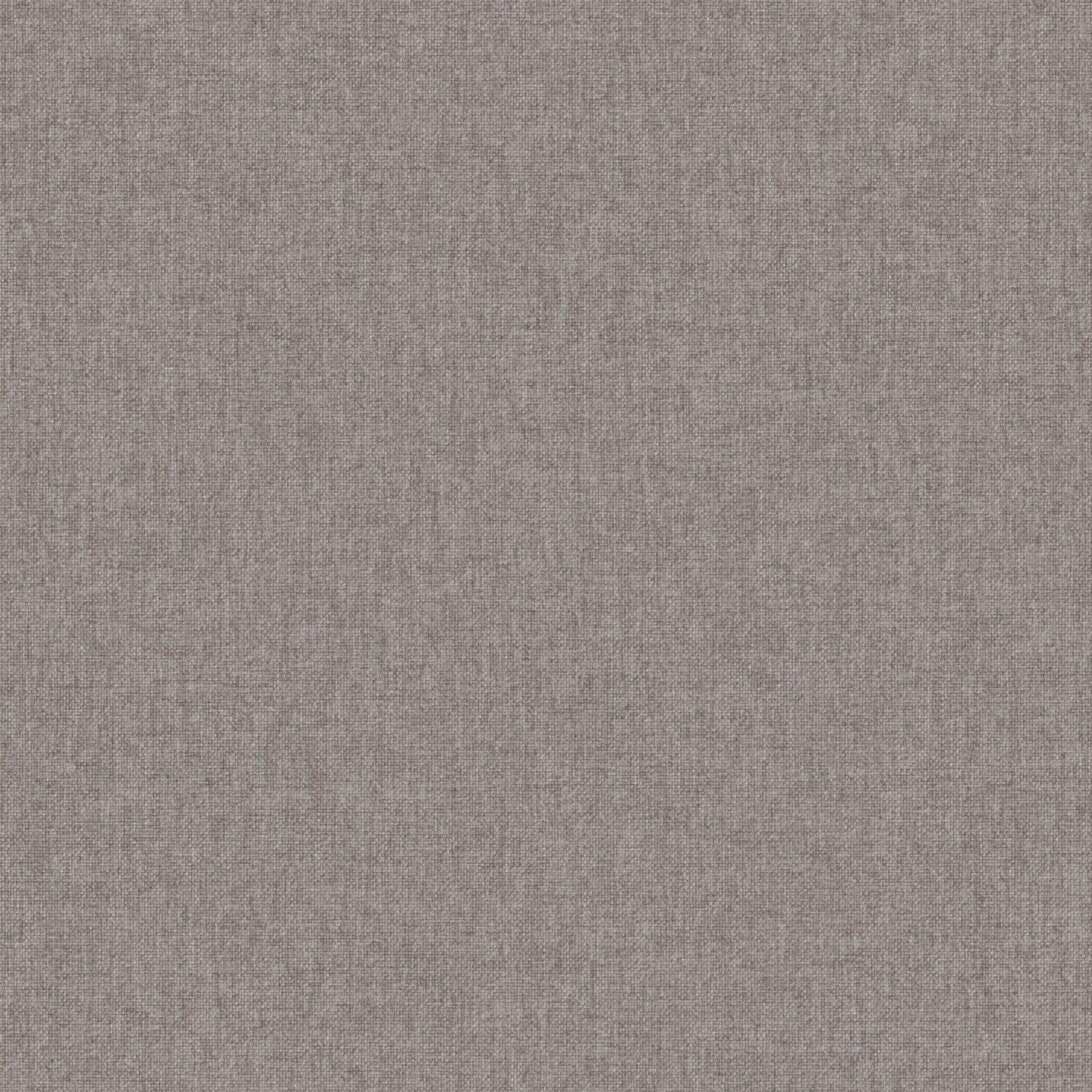 Tint - Oatmeal - 2015 - 16